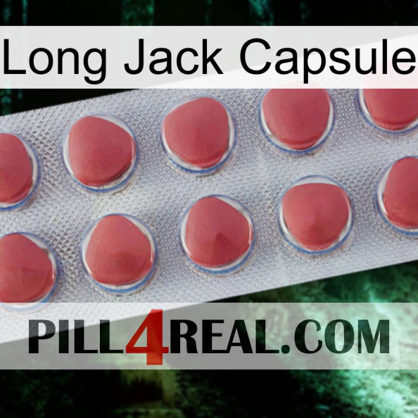 Long Jack Capsule 18.jpg